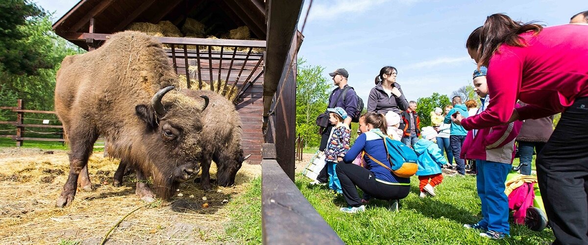 Körösvölgyi Állatpark